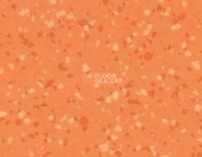 Линолеум Taralay Premium Brazilia 8157 Goias фото 1 | FLOORDEALER